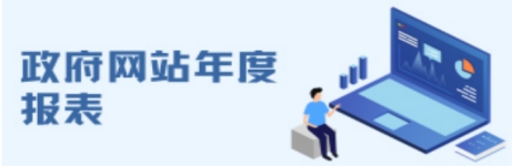 政府網(wǎng)站年度報表